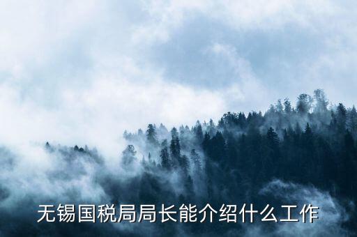 無錫地稅局長接待日是什么，無錫國稅局局長能介紹什么工作