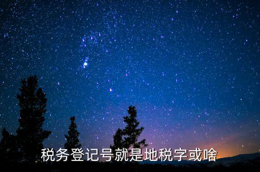 國(guó)稅地稅登記號(hào)是什么意思，稅務(wù)登記號(hào)就是地稅字或啥