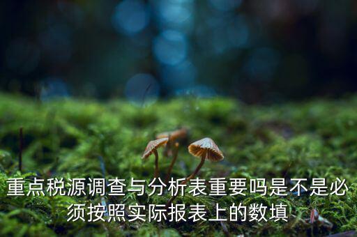重點(diǎn)稅源分析分析什么，重點(diǎn)稅源的介紹