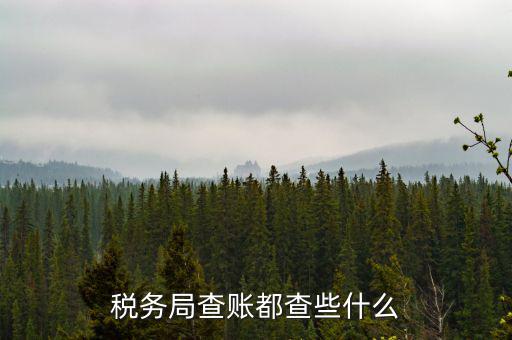 稅務(wù)局查稅一般查什么，請問一下老師一般稅務(wù)局人來查帳一般查什么的