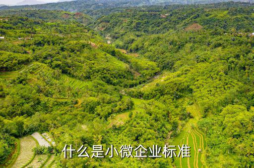 小型微利企業(yè)標(biāo)準(zhǔn)是什么，微小型企業(yè)的標(biāo)準(zhǔn)是什么