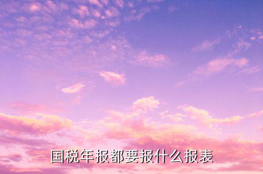 國(guó)稅年報(bào)都有什么報(bào)表，國(guó)稅年報(bào)都要報(bào)什么報(bào)表