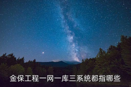 什么是金三系統(tǒng)，會(huì)計(jì)證外借給公司掛靠什么也沒(méi)做就被金三系統(tǒng)監(jiān)控了