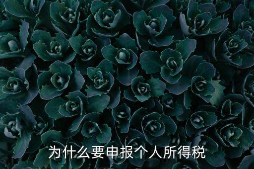 為什么要申報納稅，為什么公司老是要申報稅