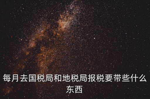 國(guó)稅大廳報(bào)稅需要什么，你好請(qǐng)教你一下如果我去國(guó)稅大廳報(bào)稅的話(huà)都需要帶什么東西填