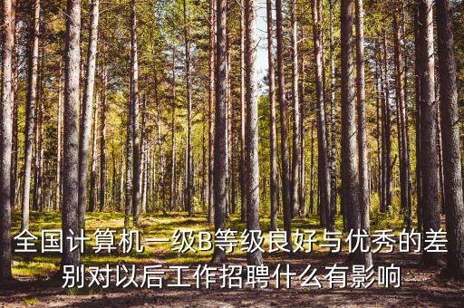全國計算機(jī)一級B等級良好與優(yōu)秀的差別對以后工作招聘什么有影響