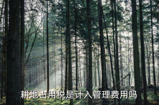 耕地占用稅是什么意思，耕地占用稅是計(jì)入管理費(fèi)用嗎