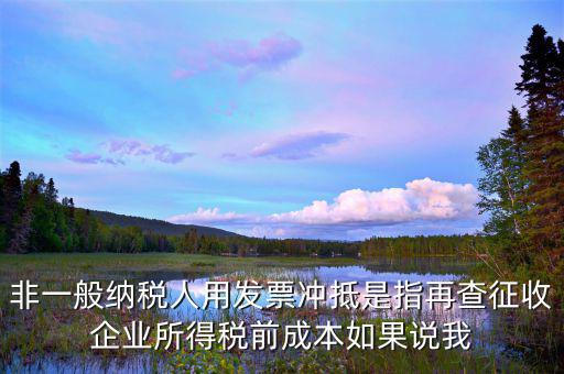 什么是非一般納稅人，非一般納稅人用發(fā)票沖抵是指再查征收企業(yè)所得稅前成本如果說我