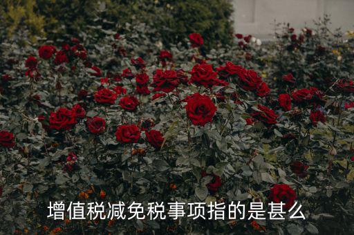 什么是減免稅申報(bào)，增值稅減免稅事項(xiàng)指的是甚么