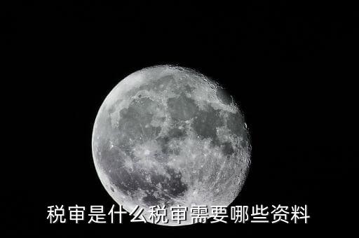 什么是大企業(yè)稅務(wù)審計，審計和稅務(wù)