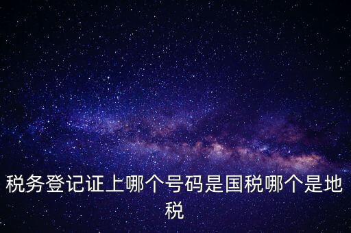 國稅地稅登記號是什么，稅務(wù)登記證上哪個號碼是國稅哪個是地稅