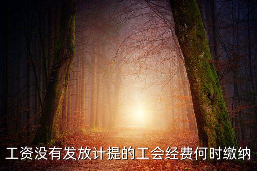工會經(jīng)費一般什么時候交，工資沒有發(fā)放計提的工會經(jīng)費何時繳納
