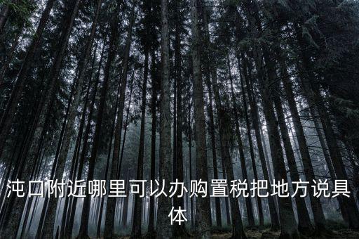 漢陽(yáng)稅務(wù)局什么車，沌口附近哪里可以辦購(gòu)置稅把地方說具體