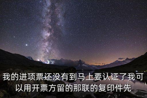 納稅清單驗(yàn)證碼是什么，我的進(jìn)項(xiàng)票還沒(méi)有到馬上要認(rèn)證了我可以用開(kāi)票方留的那聯(lián)的復(fù)印件先