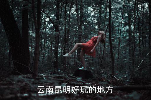 云南昆明地稅旁有什么好玩的地方，云南昆明有哪些好玩的地方