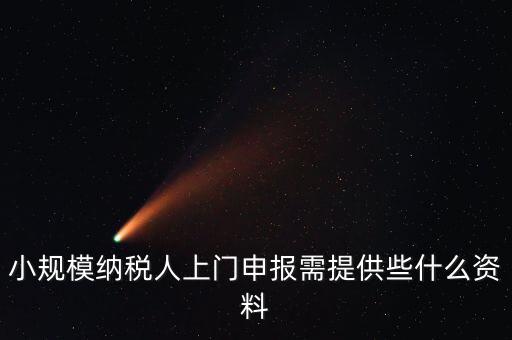 什么是上門申報(bào)，小規(guī)模納稅人上門申報(bào)需提供些什么資料