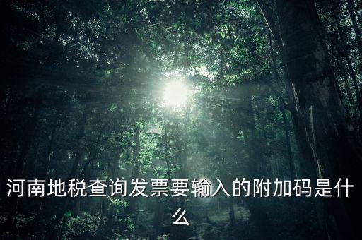 河南發(fā)票密碼是什么樣的，河南地稅查詢發(fā)票要輸入的附加碼是什么