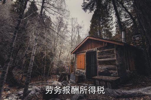 什么是勞動(dòng)報(bào)酬稅，勞務(wù)稅是什么