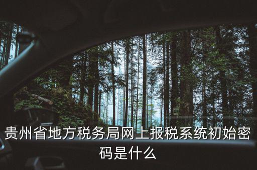 黑龍江電子稅務(wù)是什么，貴州省地方稅務(wù)局網(wǎng)上報稅系統(tǒng)初始密碼是什么