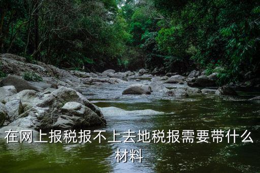網(wǎng)上報稅反寫失敗帶什么手續(xù)，去國稅局查看反寫需要帶什么