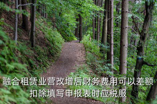 應(yīng)稅服務(wù)扣除項(xiàng)目清單干什么用，應(yīng)稅服務(wù)扣除項(xiàng)目清單中允許扣除項(xiàng)目金額指的是什么是總