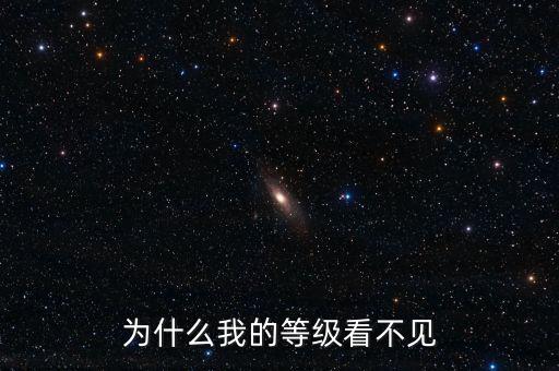 為什么無(wú)法查詢(xún)到納稅等級(jí)，為什么我的等級(jí)看不見(jiàn)
