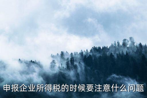 年度企業(yè)所得稅申報注意什么，申報企業(yè)所得稅的時候要注意什么問題