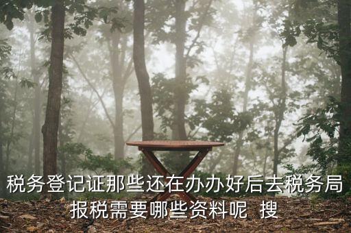 新辦企業(yè)稅務(wù)局需要什么資料，稅務(wù)登記證那些還在辦辦好后去稅務(wù)局報稅需要哪些資料呢  搜