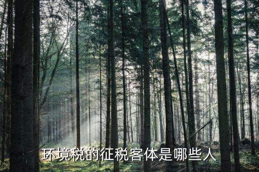 環(huán)保稅納稅人的什么意思，環(huán)境稅是什么意思