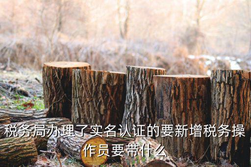 四川國(guó)稅局實(shí)名認(rèn)證需要什么資料，國(guó)稅發(fā)票認(rèn)證需要準(zhǔn)備那些資料 到大廳辦的時(shí)候工作人員叫我拿U盤