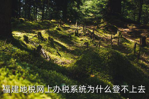 企業(yè)所得稅系統(tǒng)為什么登不上，福建地稅網(wǎng)上辦稅系統(tǒng)為什么登不上去