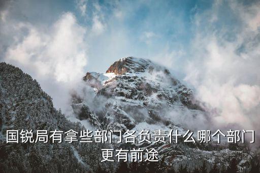 國銳局是辦什么，深圳公司入黑名單注銷吊銷