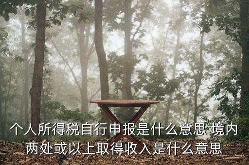 個人所得稅自行申報(bào)是什么意思 境內(nèi)兩處或以上取得收入是什么意思