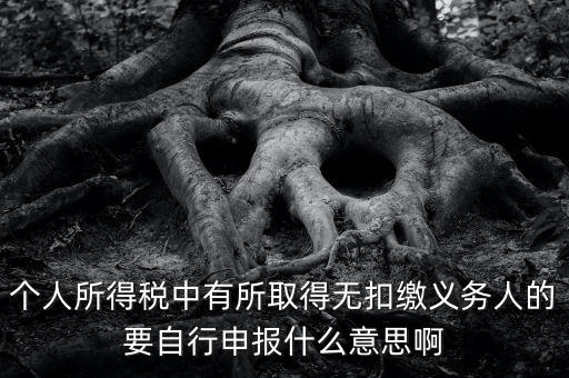什么叫自行申報，個人所得稅中有所取得無扣繳義務(wù)人的要自行申報什么意思啊