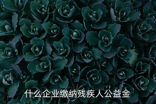 什么企業(yè)需申報(bào)殘疾人保障金，哪些單位應(yīng)該繳納殘疾人保障基金