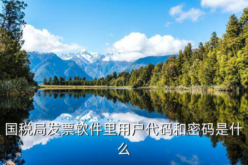 國(guó)稅用戶密碼是什么，你好我想問你 一下 網(wǎng)上國(guó)稅的用戶名和密碼是什么
