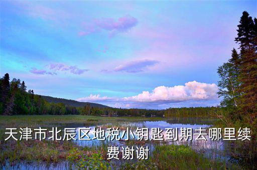 天津地稅小鑰匙密碼是什么，天津市北辰區(qū)地稅小鑰匙到期去哪里續(xù)費(fèi)謝謝