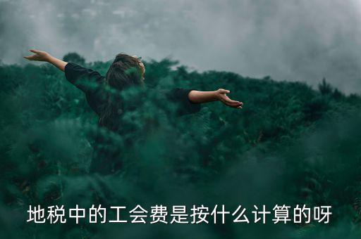 地稅代征的工會經(jīng)費(fèi)按什么計(jì)算，地稅中的工會費(fèi)是按什么計(jì)算的呀