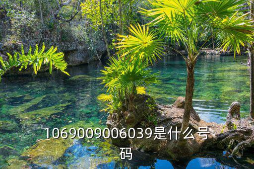 10699999是什么號碼，1069009006039是什么號碼