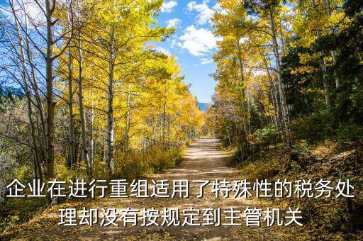 特殊重組什么時候備案，企業(yè)在進行重組適用了特殊性的稅務處理卻沒有按規(guī)定到主管機關