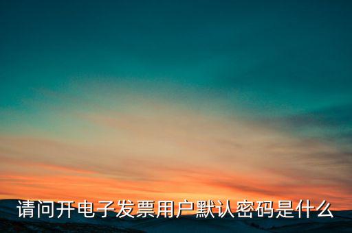 重慶國(guó)稅電子發(fā)票登錄密碼是什么意思，國(guó)稅局發(fā)票軟件里用戶代碼和密碼是什么