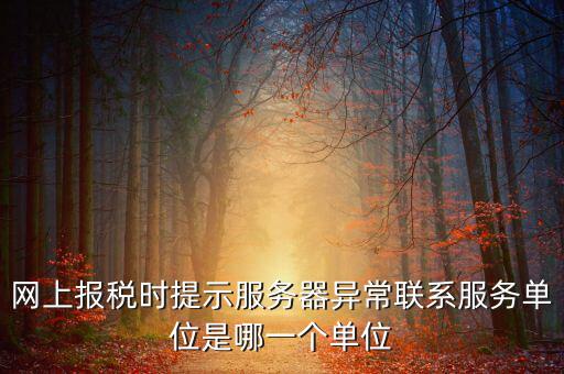 網上報稅時提示服務器異常聯系服務單位是哪一個單位