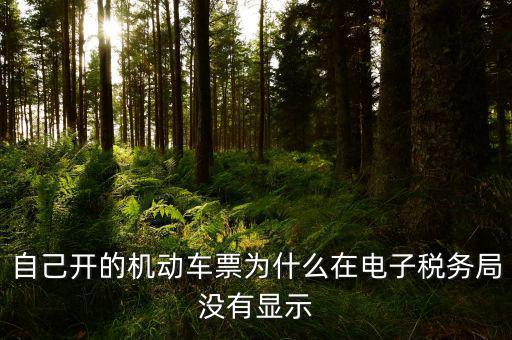 為什么登錄電子稅務(wù)局沒有反映，自己開的機(jī)動車票為什么在電子稅務(wù)局沒有顯示