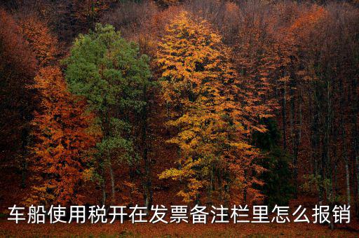車船使用稅為什么在發(fā)票備注欄，保險公司代收的車船稅稅款是填在備注欄里的么