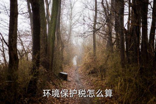 環(huán)保稅以什么為標(biāo)準(zhǔn)繳納，你認(rèn)為汽車(chē)環(huán)保稅應(yīng)該如何征收 具體點(diǎn) 謝謝