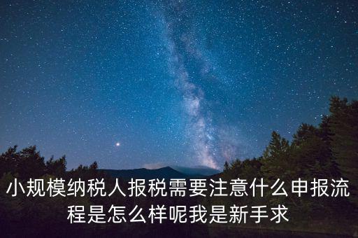 報稅需要注意什么手續(xù)，一般納稅人每個月怎么報稅報稅時要注意什么流程是怎么樣的
