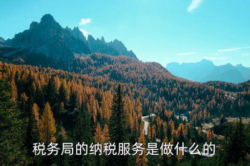 稅務全程服務的內涵是什么，稅務是什么意思啊學什么內容