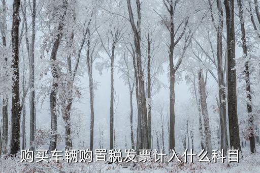 車輛購置發(fā)票是什么，關(guān)于車輛購置稅發(fā)票的問題