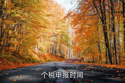 個(gè)人經(jīng)營(yíng)所得稅什么時(shí)候申報(bào)，個(gè)人所得稅明細(xì)申報(bào)什么時(shí)候報(bào)