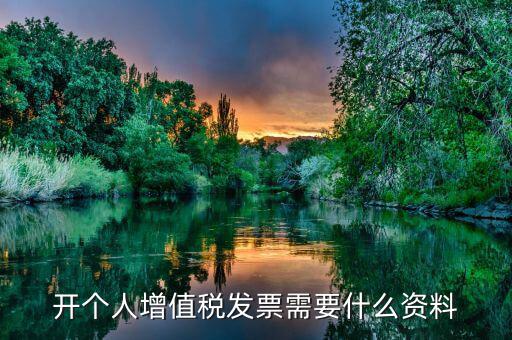 個(gè)人發(fā)票要帶什么資料，個(gè)人購物開增值稅普通發(fā)票需要什么資料